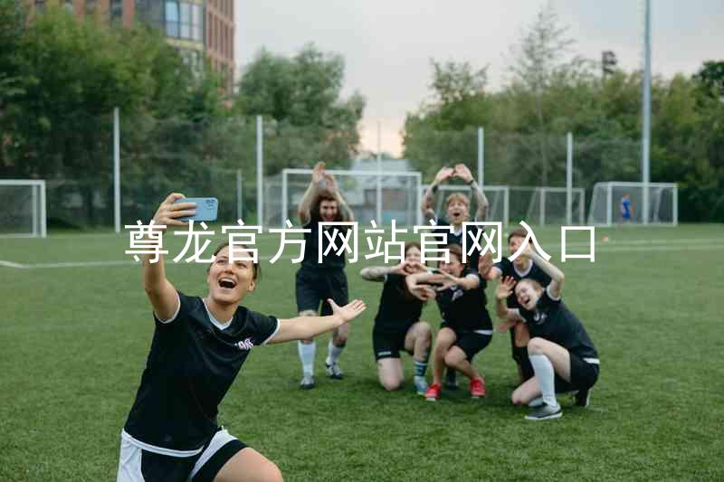 尊龙官方网站官网入口