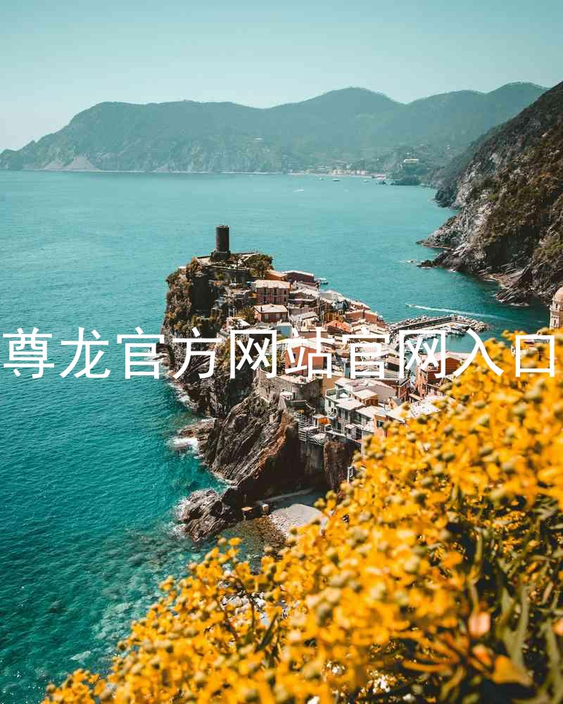尊龙官方网站官网入口